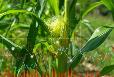 Agricultural Commodity Trading