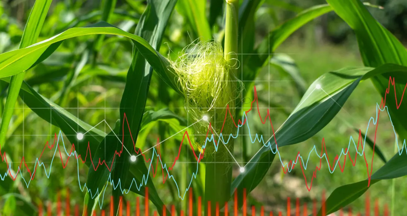 Agricultural Commodity Trading